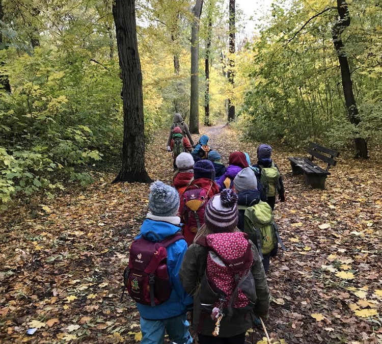 Waldtage für Kindergarten