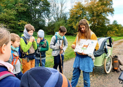 Tieren auf der Spur im Wildniscamp