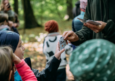 Karten werden verteilt an die Kinder