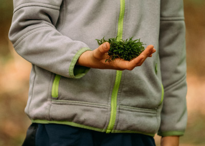 Moos wird von einem Kind in der Hand gehalten