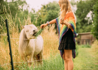 Pony mit Gras füttern