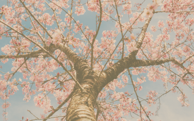 Naturrituale für den Mut und das Aufblühen im April