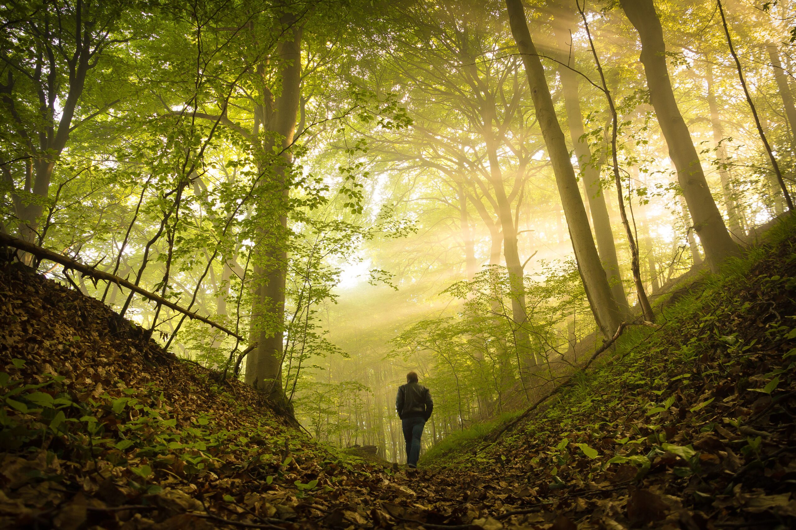Digital Detox, Stressabbau und Entschleunigung in der Natur 